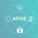 Omega-3, ApoE, and Alzheimer's Disease: What the Latest Research Says About Protecting Brain Health Omega-3 ApoE and Alzheimers Disease - What the Latest Research Says About Protecting Brain Health